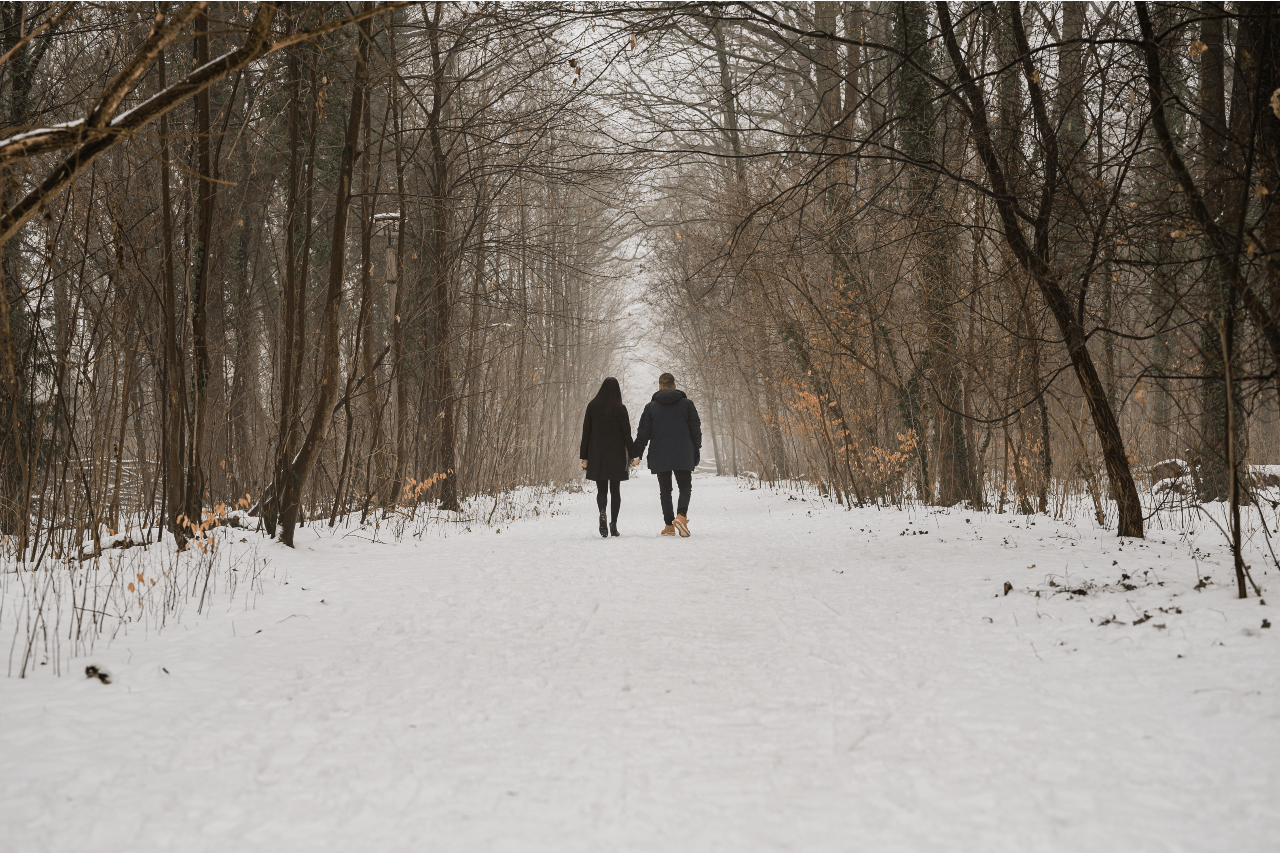 A couple walking away from the camera in the snow down a wooded lane