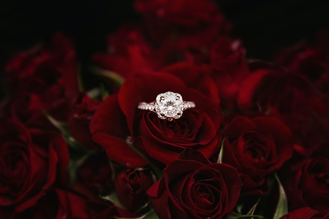 A silver, round cut engagement ring sitting on a red rose