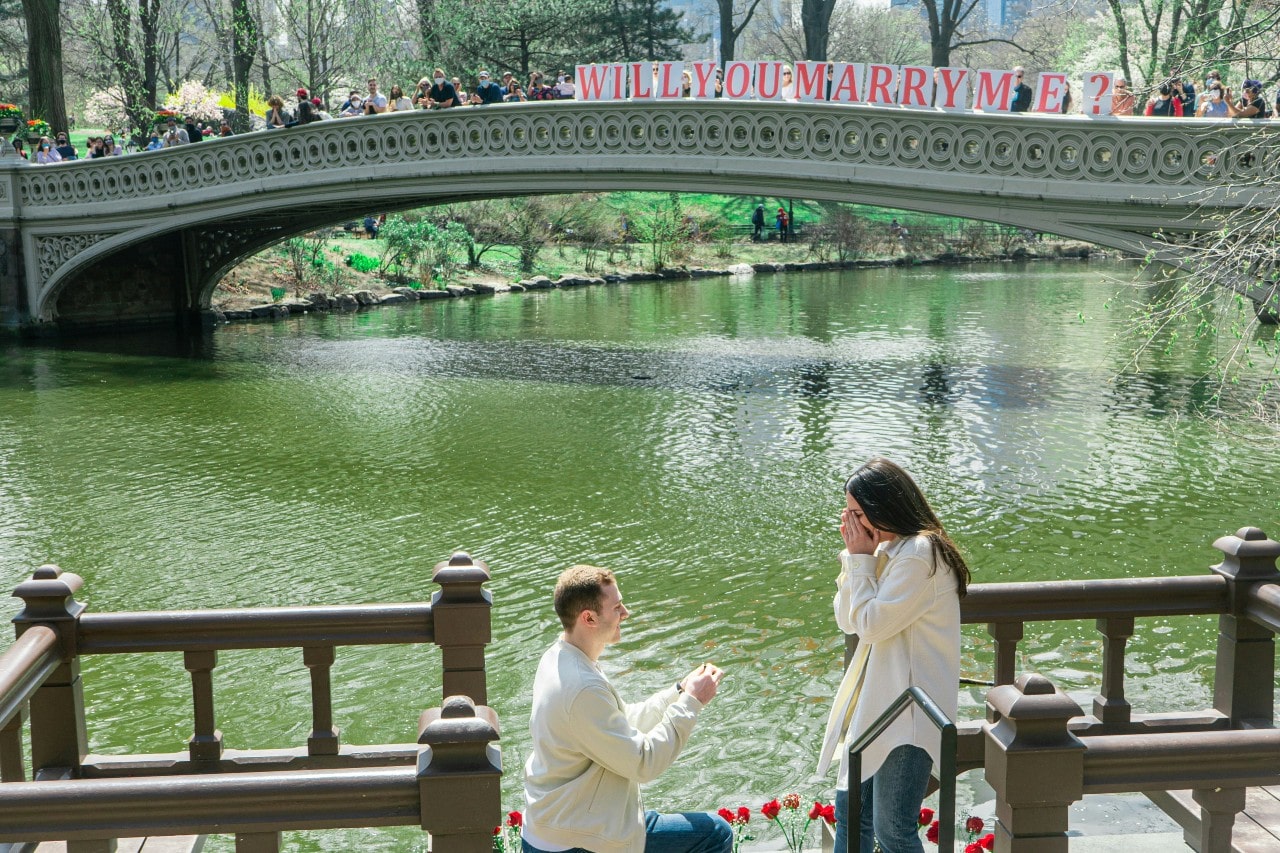 A man proposing to a woman in Central Park in New York City, with onlookers watching from a bridge.