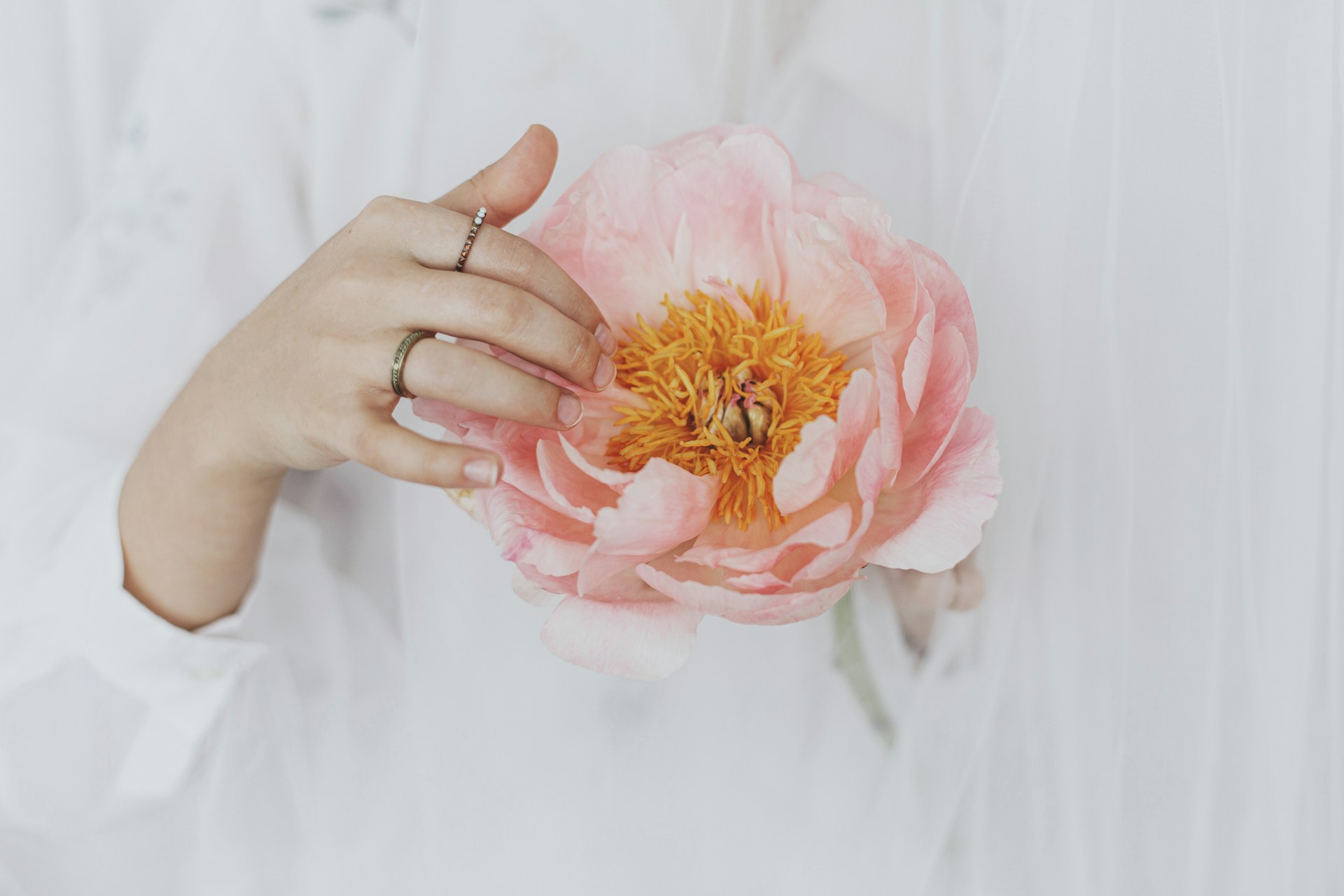 a lady’s hand wearing gold rings and holding a flower