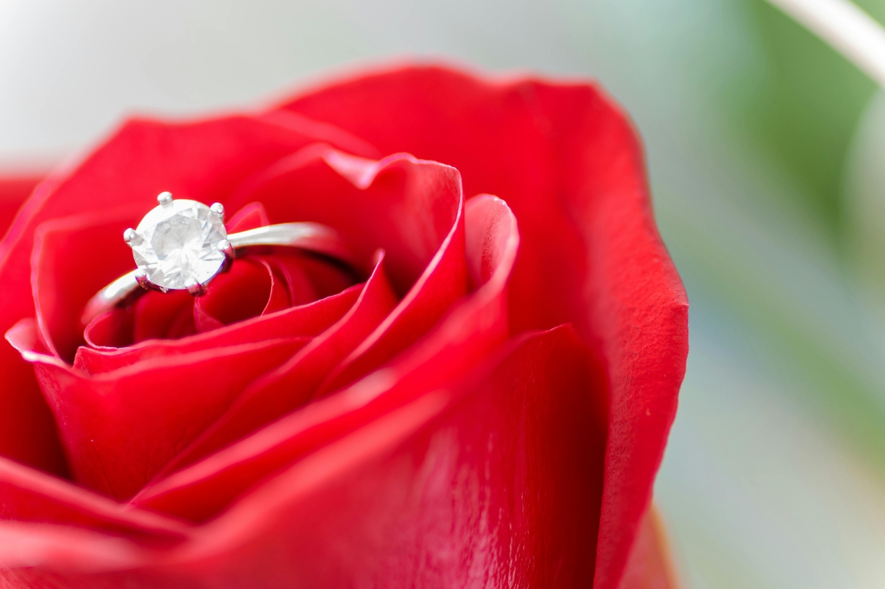 A close-up of a simple yet elegant round-cut solitaire engagement ring nestled in a red rose.