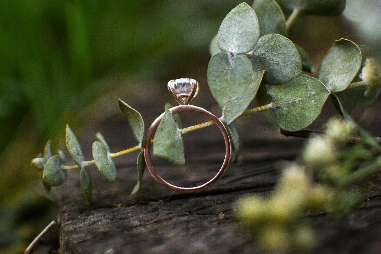 engagement ring on plant