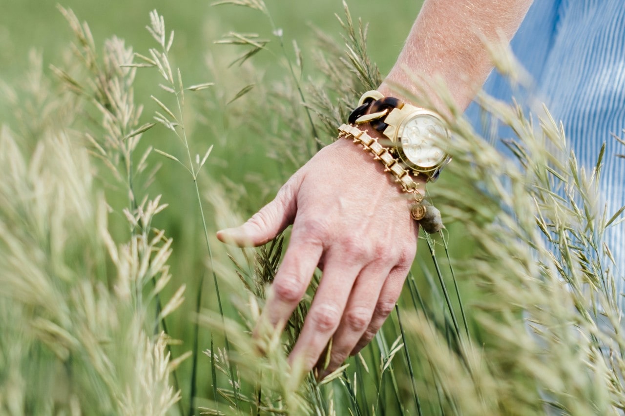 A close-up of a man’s arm, adorned with a gold watch and bracelet, passing over grass in a field.